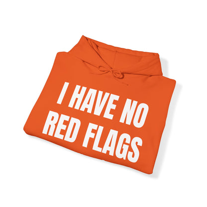 I HAVE NO RED FLAGS HOODIE