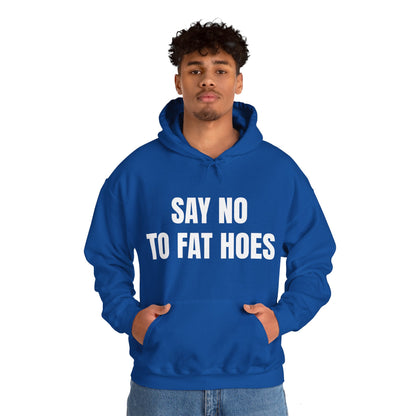 SAY NO TO FAT HOES HOODIE