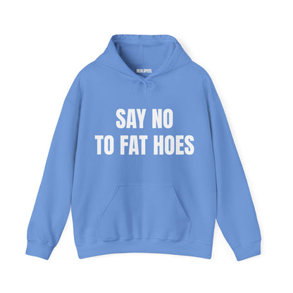 SAY NO TO FAT HOES HOODIE