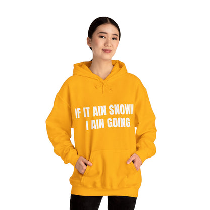 IF IT AIN SNOWIN HOODIE