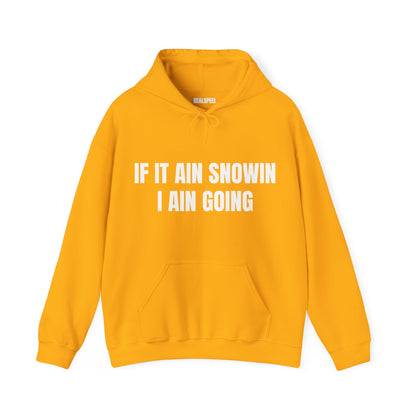 IF IT AIN SNOWIN HOODIE