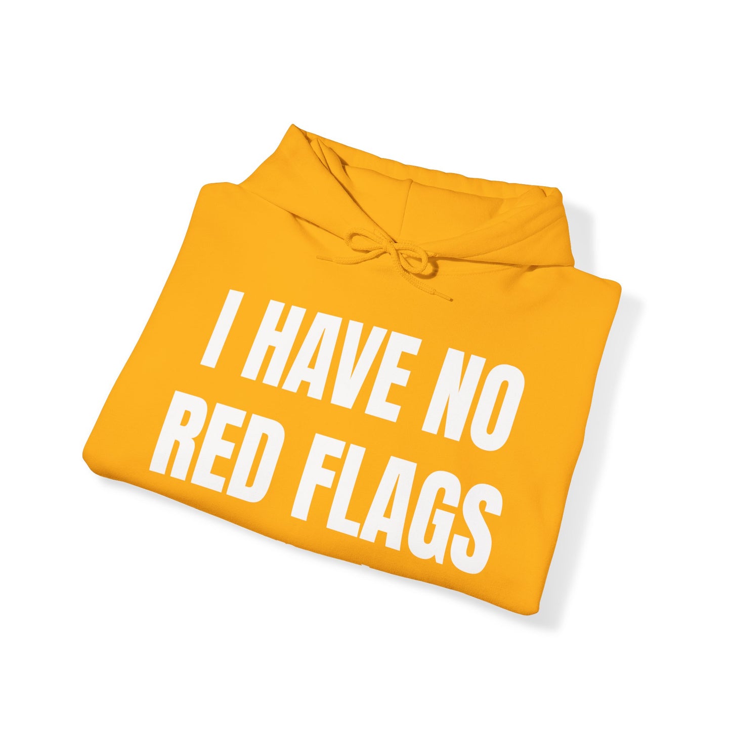 I HAVE NO RED FLAGS HOODIE