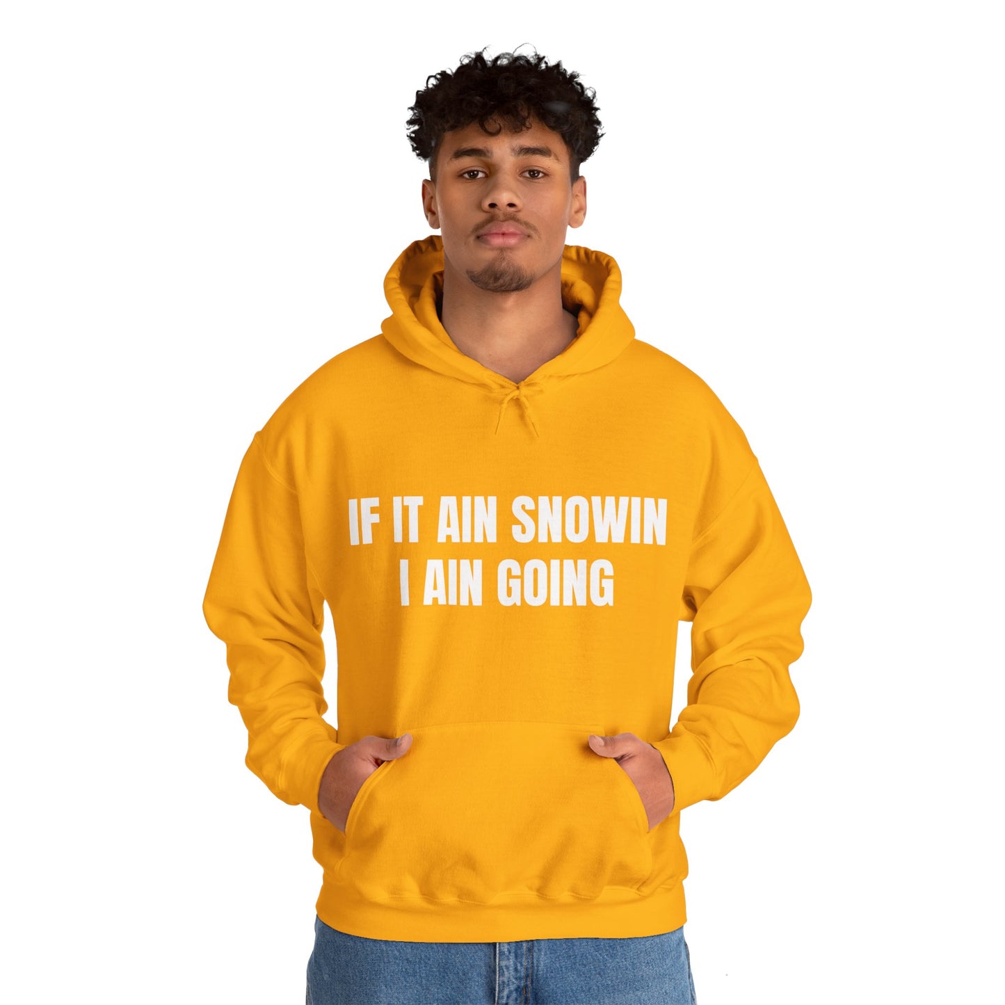 IF IT AIN SNOWIN HOODIE