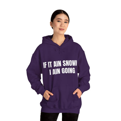 IF IT AIN SNOWIN HOODIE