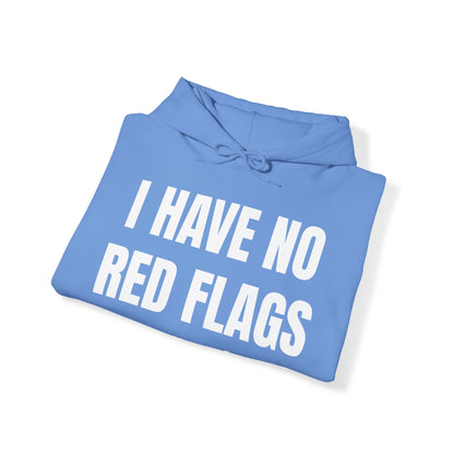 I HAVE NO RED FLAGS HOODIE